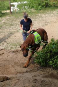 2018 Ausbildungswoche Arber